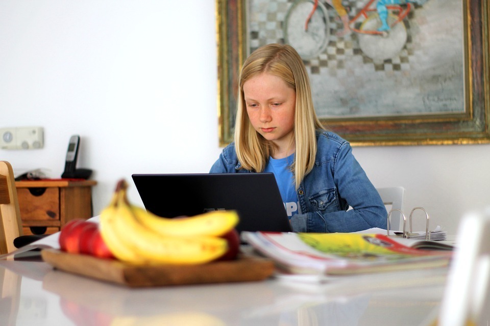 homeschooling-5121262_960_720