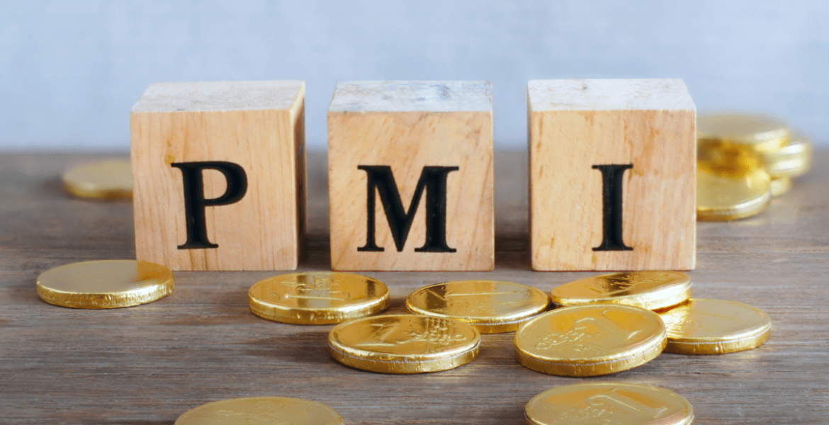 PMI plate
