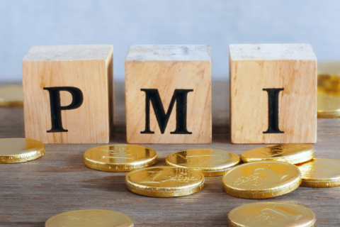 PMI plate