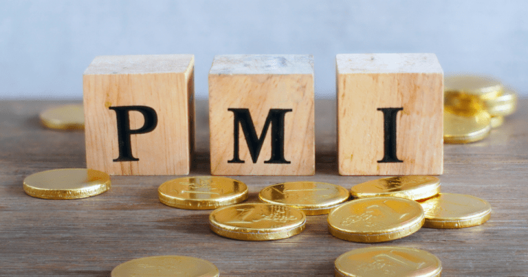 PMI plate